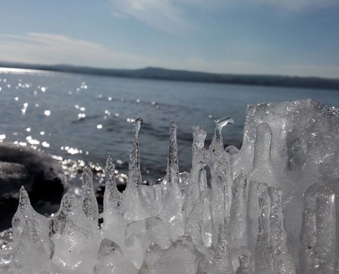 MINT im Alltag_Eiszapfen am See entdecken